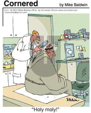 Cornered on Saturday November 1, 2014 Comic Strip