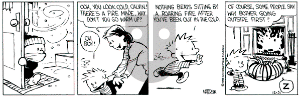 Calvin and Hobbes on Wednesday December 31, 1986 Comic Strip
