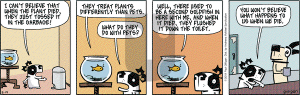 Pooch Cafe on Monday August 19, 2019 Comic Strip