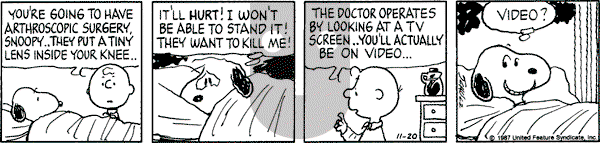 Peanuts - Friday November 20, 1987 Comic Strip