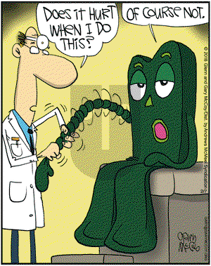 The Flying McCoys on Wednesday February 7, 2018 Comic Strip