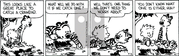 Calvin and Hobbes - Saturday July 5, 1986 Comic Strip