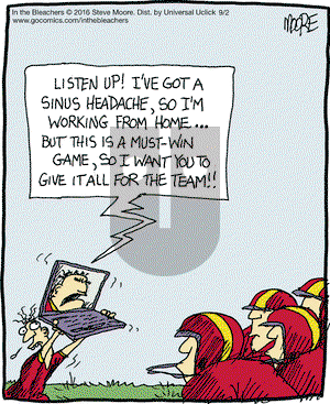 In the Bleachers on Friday September 2, 2016 Comic Strip