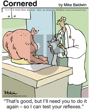 Cornered on Wednesday November 11, 2020 Comic Strip