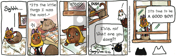 Breaking Cat News on Saturday December 16, 2017 Comic Strip