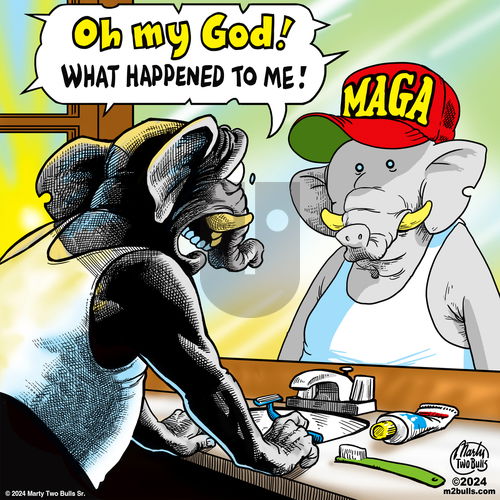 M2Bulls on Saturday December 21, 2024 Comic Strip