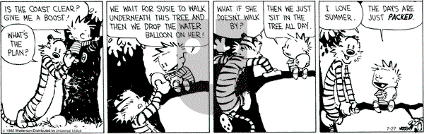 Calvin and Hobbes - Friday July 27, 2012 Comic Strip