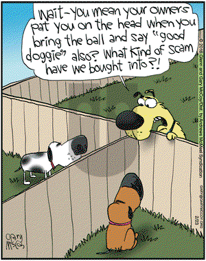 The Flying McCoys on Friday February 23, 2018 Comic Strip