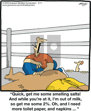 In the Bleachers on Monday February 17, 2020 Comic Strip