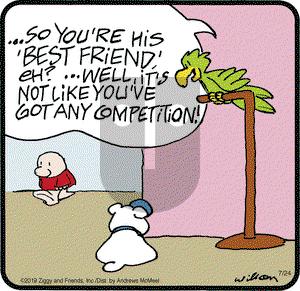 Ziggy on Wednesday July 24, 2019 Comic Strip