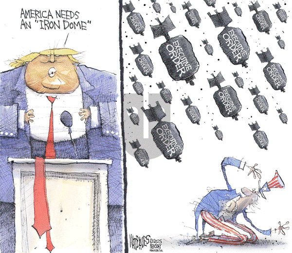 Matt Davies on Wednesday January 29, 2025 Comic Strip