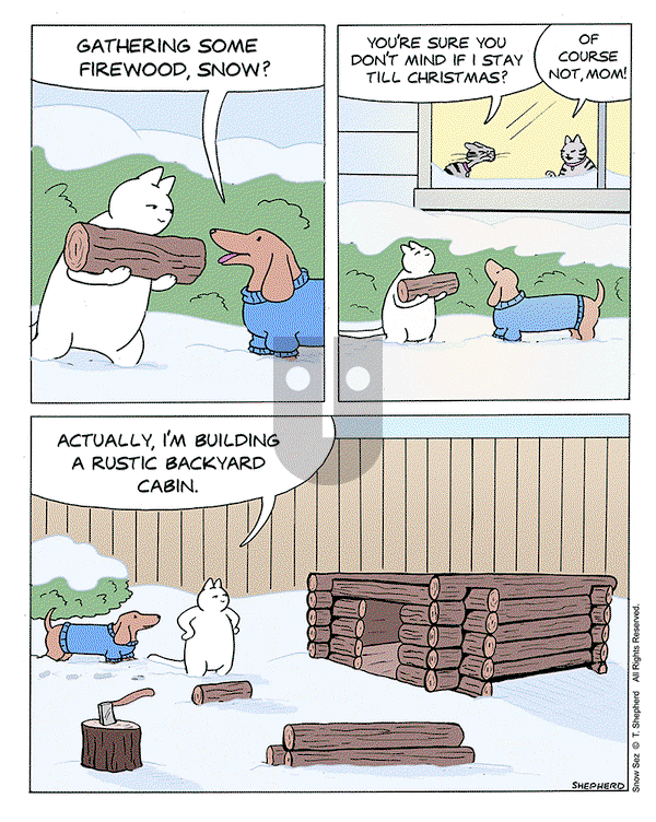 Snow Sez on Monday December 2, 2024 Comic Strip