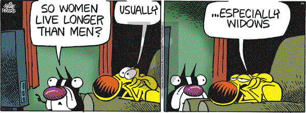 Mother Goose and Grimm - Tuesday August 6, 2024 Comic Strip
