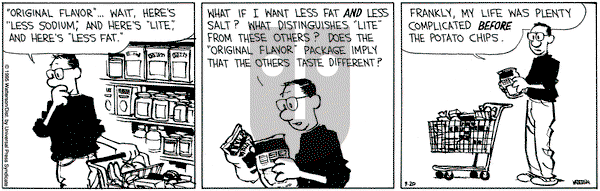Calvin and Hobbes on Wednesday September 20, 1995 Comic Strip