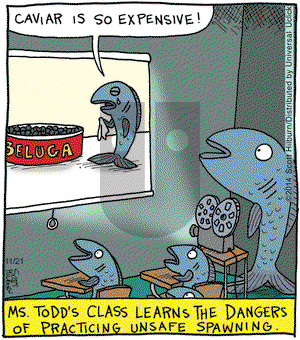 The Argyle Sweater on Friday November 21, 2014 Comic Strip