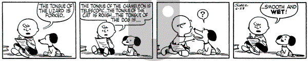 Peanuts on Monday June 28, 1954 Comic Strip