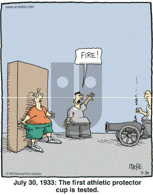 In the Bleachers - Friday July 30, 2004 Comic Strip