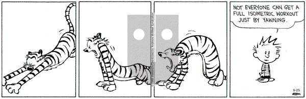 Calvin and Hobbes on Thursday September 25, 2025 Comic Strip