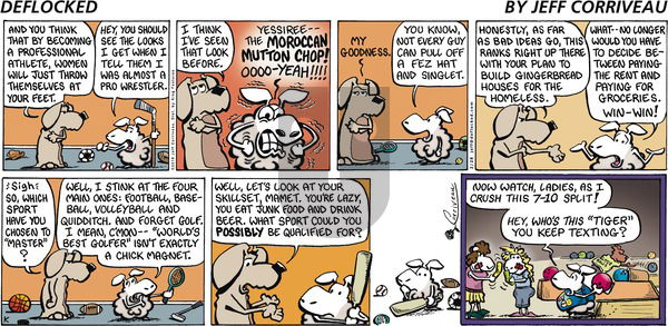 DeFlocked on Sunday February 28, 2010 Comic Strip