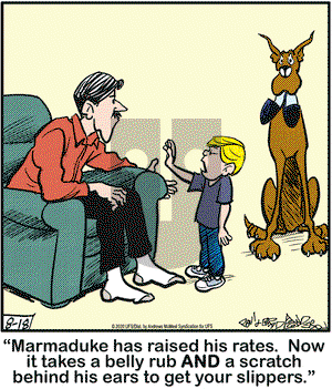 Marmaduke on Tuesday August 18, 2020 Comic Strip