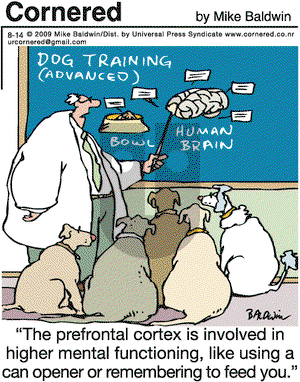 Cornered on Friday August 14, 2009 Comic Strip