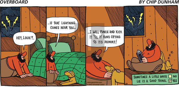 Overboard on Sunday November 4, 2012 Comic Strip