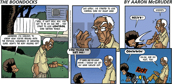 The Boondocks - Sunday June 13, 2004 Comic Strip