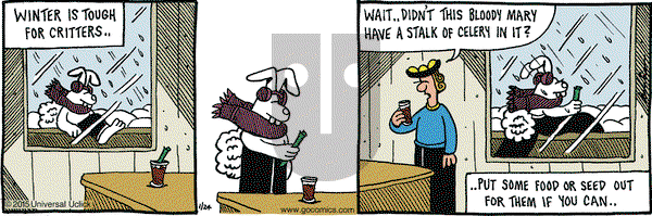 Overboard on Saturday January 24, 2015 Comic Strip