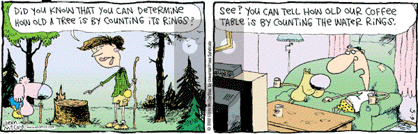 The Duplex on Wednesday June 5, 2002 Comic Strip