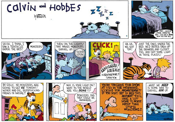 Calvin and Hobbes on Sunday July 12, 1987 Comic Strip