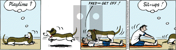 Fred Basset on Tuesday October 3, 2017 Comic Strip