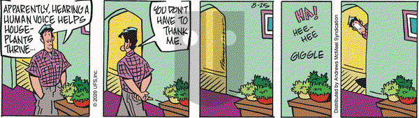 Rose is Rose on Tuesday August 25, 2020 Comic Strip
