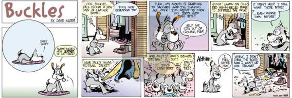 Buckles - Sunday March 16, 2025 Comic Strip