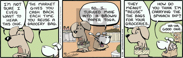 DeFlocked on Saturday June 6, 2009 Comic Strip