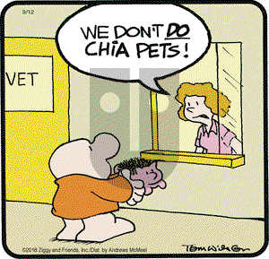 Ziggy on Wednesday September 12, 2018 Comic Strip