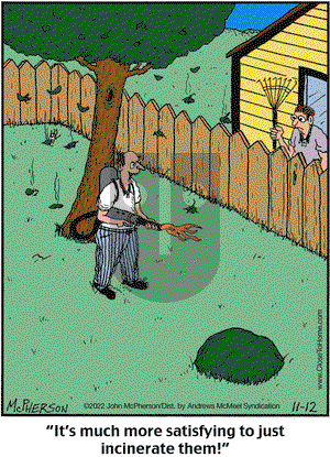 Close to Home - Saturday November 12, 2022 Comic Strip
