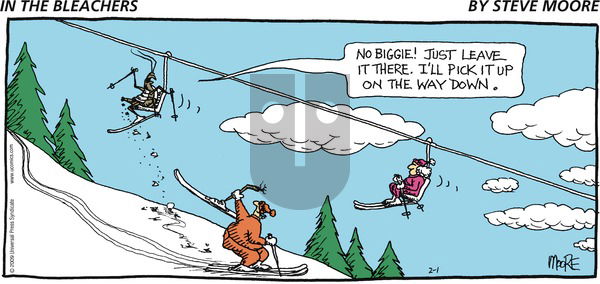 In the Bleachers on Sunday February 1, 2009 Comic Strip