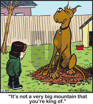 Marmaduke on Thursday December 29, 2016 Comic Strip