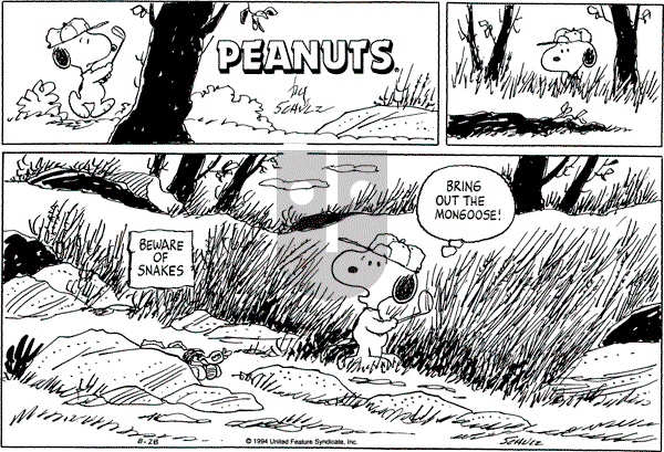 Peanuts - Sunday August 28, 1994 Comic Strip