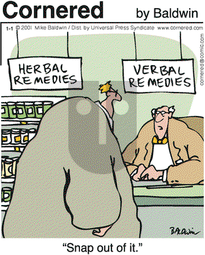 Cornered on Monday January 1, 2001 Comic Strip