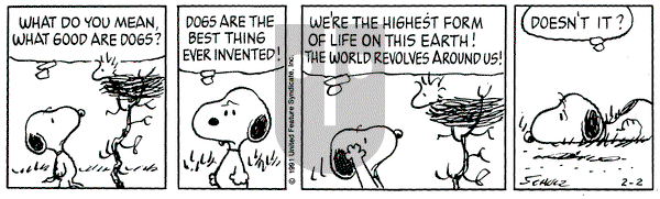 Peanuts on Saturday February 2, 1991 Comic Strip