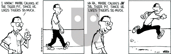 Calvin and Hobbes - Wednesday July 27, 1988 Comic Strip