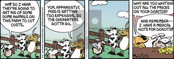 DeFlocked on Friday June 6, 2025 Comic Strip