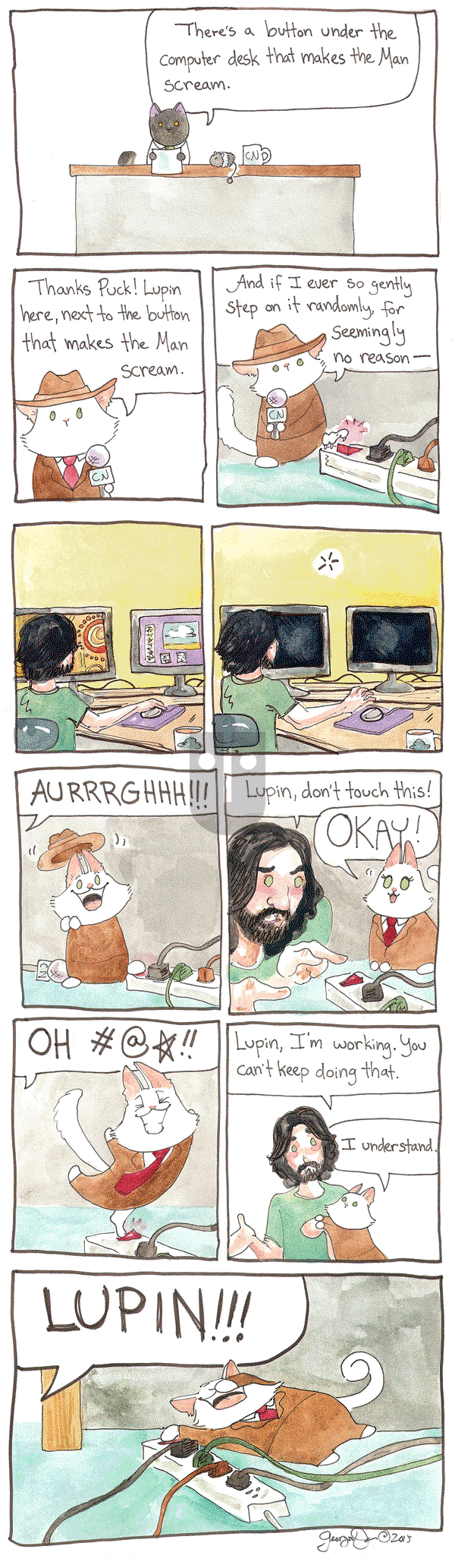 Breaking Cat News on Tuesday January 3, 2017 Comic Strip