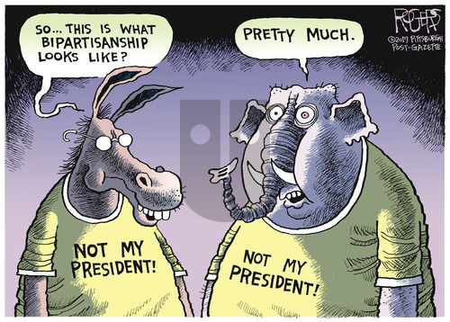 Rob Rogers on Sunday September 10, 2017 Comic Strip