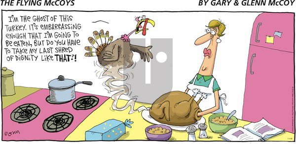 The Flying McCoys on Sunday November 18, 2012 Comic Strip