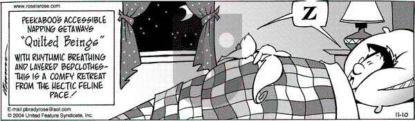 Rose is Rose on Wednesday November 10, 2004 Comic Strip