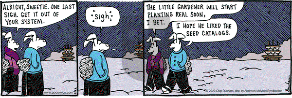Overboard on Saturday February 22, 2020 Comic Strip