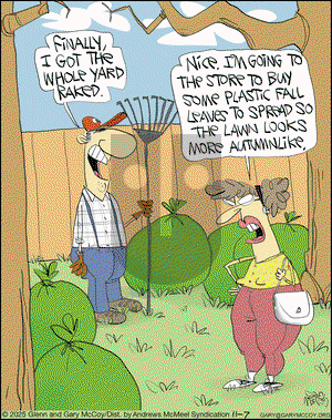 The Flying McCoys on Friday November 7, 2025 Comic Strip