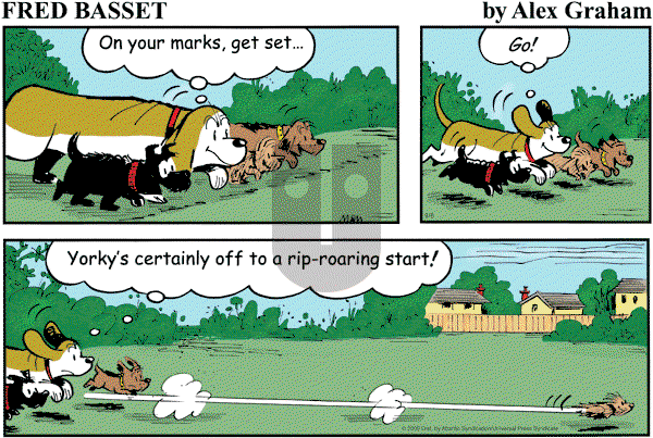 Fred Basset on Sunday September 6, 2009 Comic Strip
